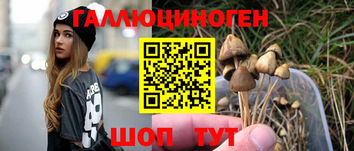 Псилоцибиновые грибы Magic Shrooms Горячий Ключ